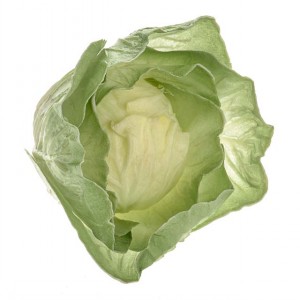 ARTIFICIAL VEGETABLE CABBAGE